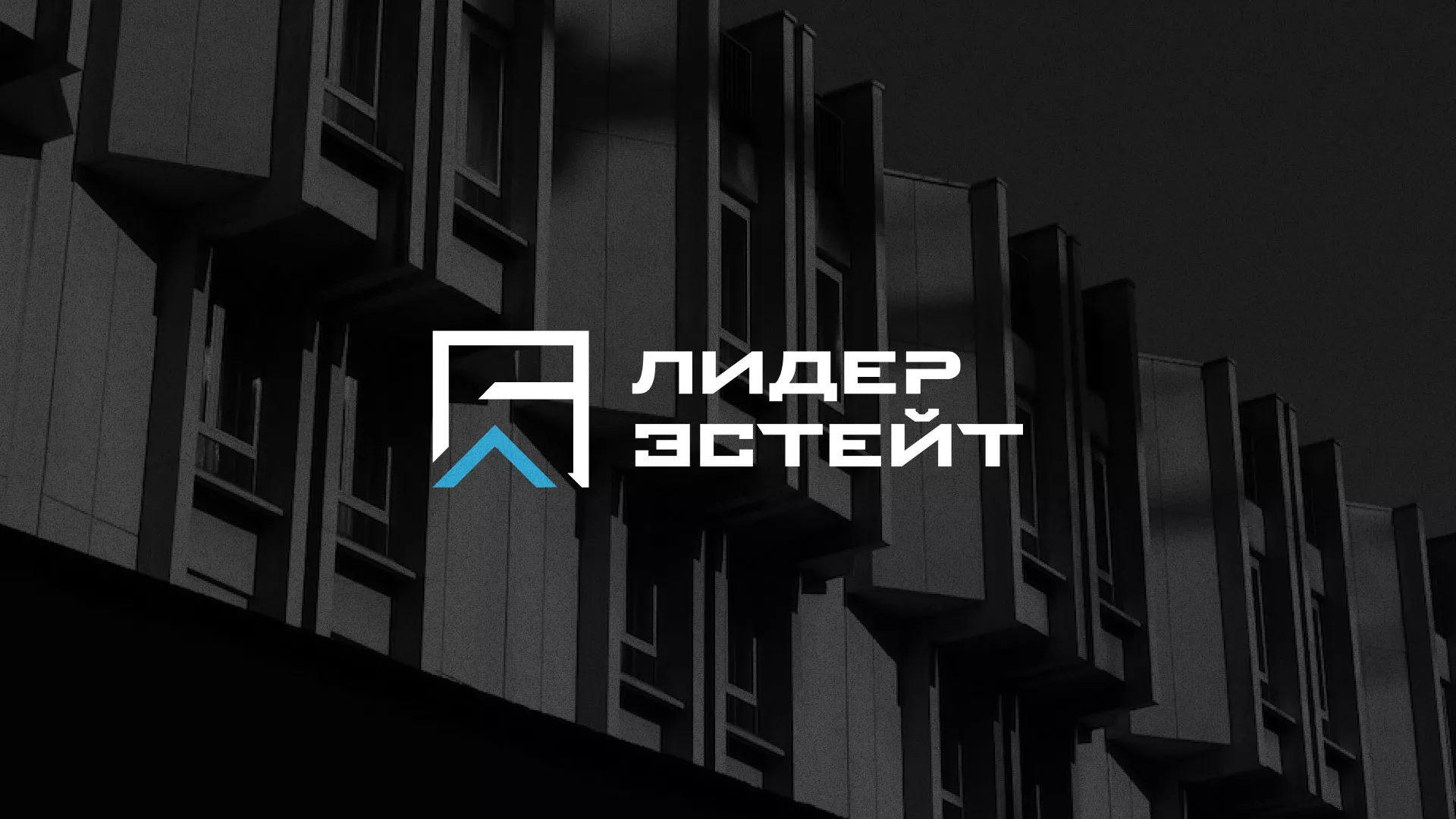 Разработка логотипа агентства недвижимости «Лидер Эстейт» в Оханске